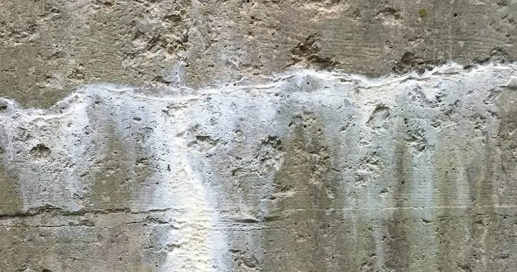 causas-da-eflorescencia