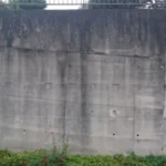 eflorescencia